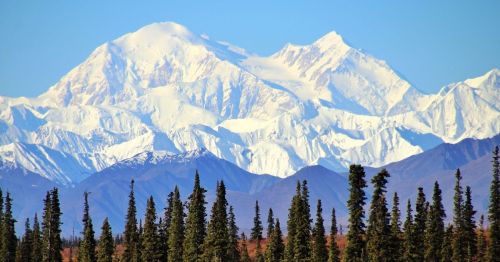 snowy mountains with evergreens and tundra below at Denali National Park in Alaska