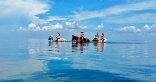 Four riders on horses wade through calm water under a blue sky with fluffy clouds, creating a serene reflection.