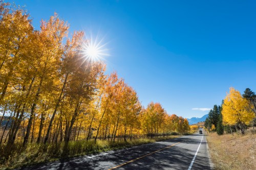 A scenic road lined with vibrant autumn trees under a clear blue sky, with the sun shining brightly.