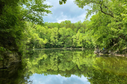 A serene lake surrounded by lush green trees, reflecting the vibrant foliage and cloudy sky above.
