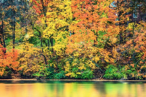 Vibrant autumn foliage reflects on a calm lake, showcasing bright yellow, orange, and green leaves.