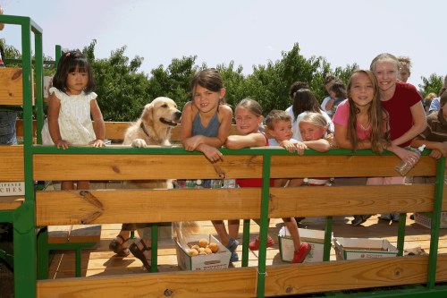 A group of children and a dog smile while leaning on a wooden wagon, surrounded by trees and boxes of fruit.