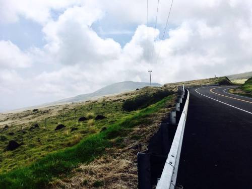 A winding road alongside grassy fields and distant hills under a cloudy sky.