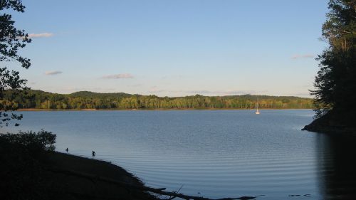 A serene lake surrounded by trees, with a sailboat in the distance under a clear blue sky.