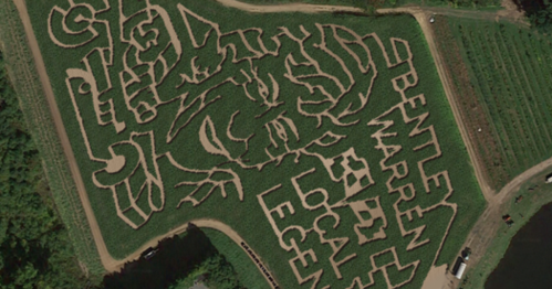 Aerial view of a corn maze featuring a large design with the words "Bentley Warren Local Legend."
