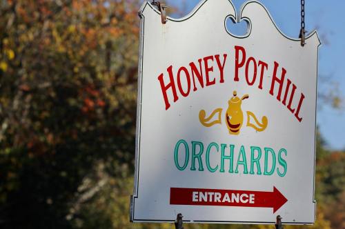 Sign for Honey Pot Hill Orchards with an arrow pointing to the entrance, surrounded by autumn foliage.