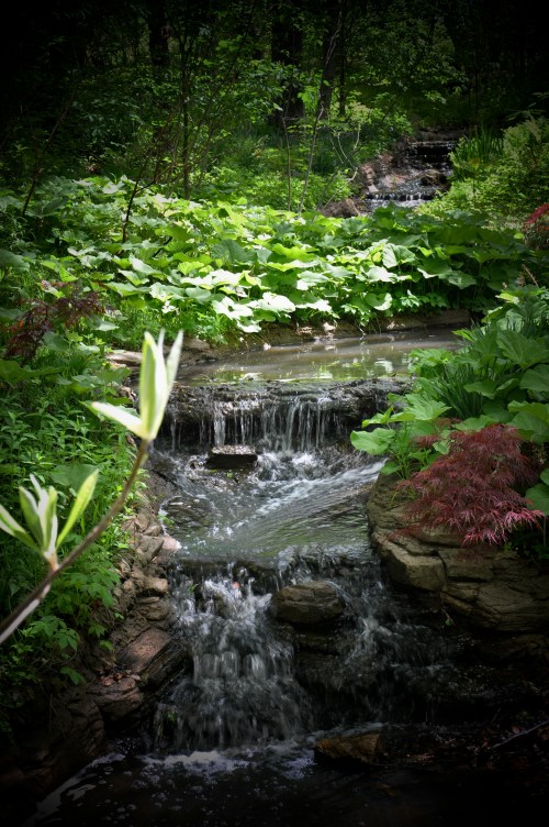 A serene stream flows through lush greenery, surrounded by vibrant plants and gentle waterfalls.