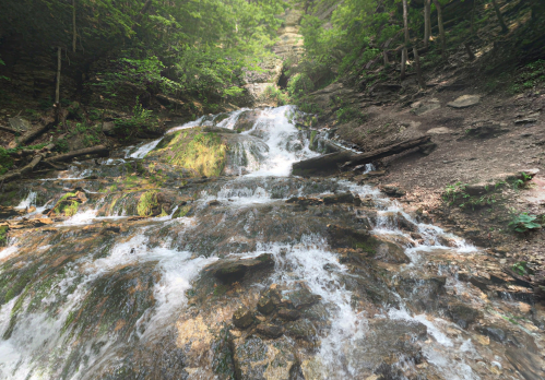 A cascading waterfall flows over rocky terrain, surrounded by lush green foliage and trees.