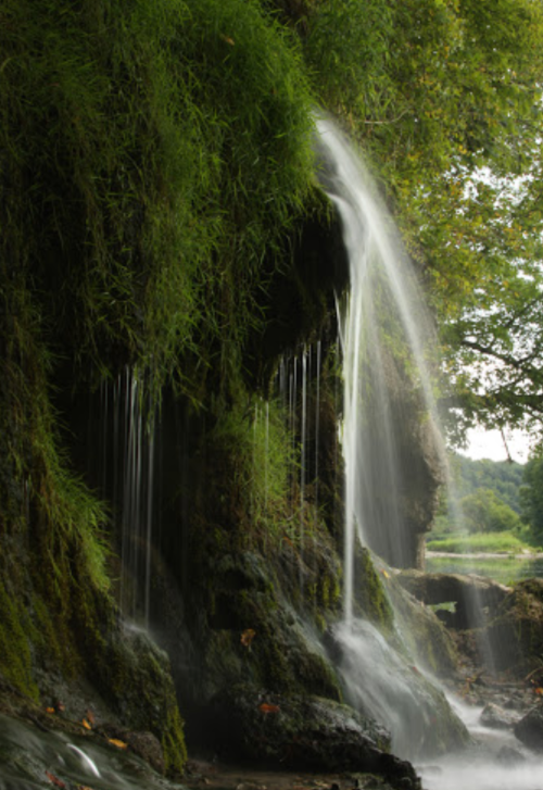 A serene waterfall cascading over moss-covered rocks, surrounded by lush greenery and soft, flowing water.