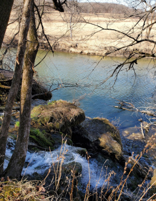 A serene stream flows over rocks, surrounded by trees and a grassy field under a clear sky.