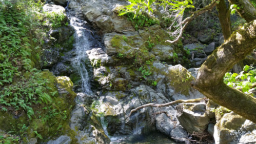 A serene waterfall cascading over moss-covered rocks, surrounded by lush greenery and trees.