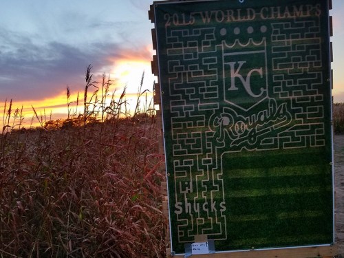 A corn maze design featuring "2015 World Champs" and "KC Royals" against a sunset backdrop.