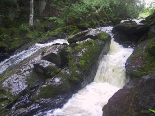 A flowing river cascades over moss-covered rocks, surrounded by lush greenery and trees.