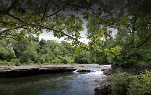 A serene river flows through lush greenery, with rocky banks and trees framing the peaceful scene.