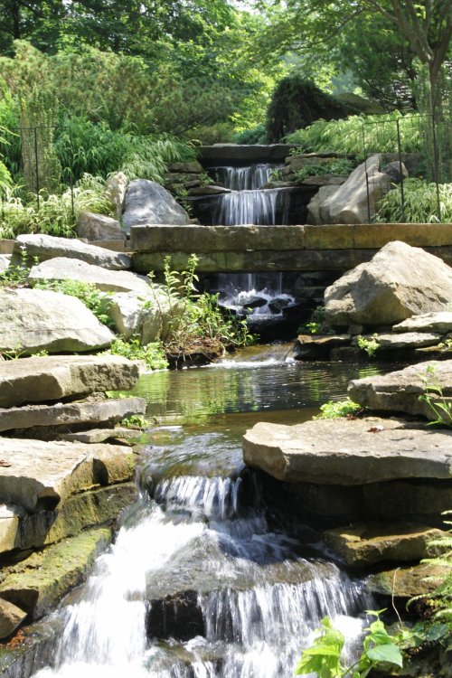 A serene waterfall cascades over rocks into a tranquil pond, surrounded by lush greenery.