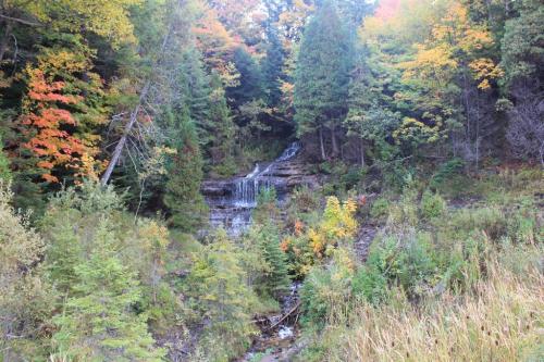 A serene waterfall surrounded by vibrant autumn foliage and lush greenery in a tranquil forest setting.