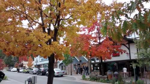 Colorful autumn trees line a street with shops, showcasing vibrant red and yellow leaves.