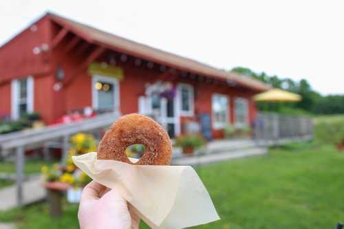 A hand holds a cinnamon sugar donut in front of a red building with flowers and outdoor seating.