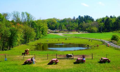 A scenic view of a green field with a pond, picnic tables, and people enjoying the outdoors on a sunny day.