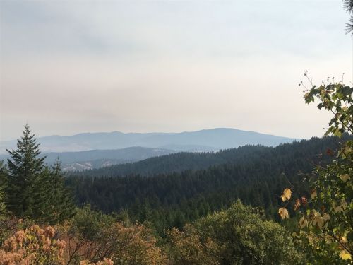 A hazy view of mountains in the distance, surrounded by lush green forests and autumn foliage.