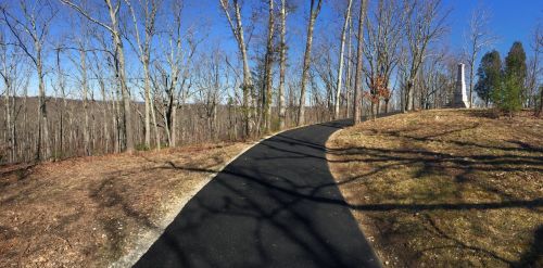 A winding path through a wooded area with bare trees and a clear blue sky in the background.