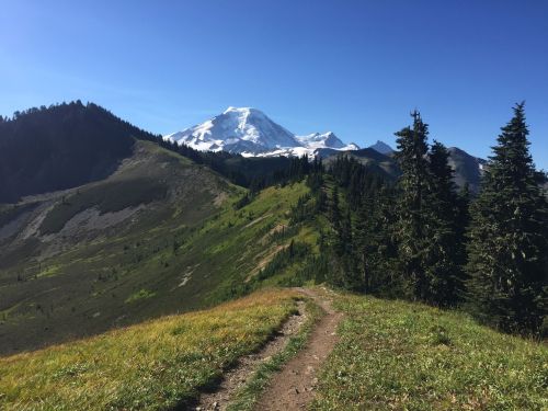 A scenic mountain trail leads through green hills, with a snow-capped peak in the background under a clear blue sky.