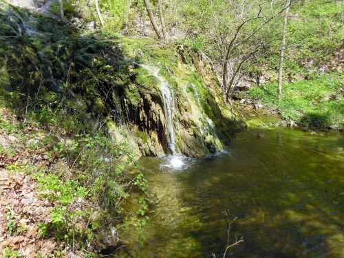A serene waterfall cascades over moss-covered rocks into a clear pool, surrounded by lush greenery and trees.