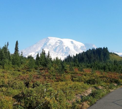 A scenic view of a snow-capped mountain surrounded by green trees and a clear blue sky. A path leads through the landscape.