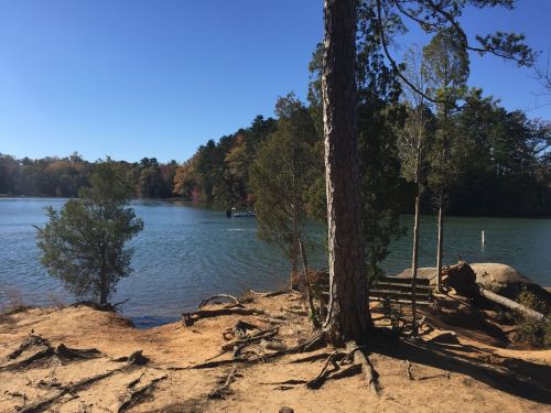 A serene lake surrounded by trees and sandy shore, with a clear blue sky and a boat in the distance.