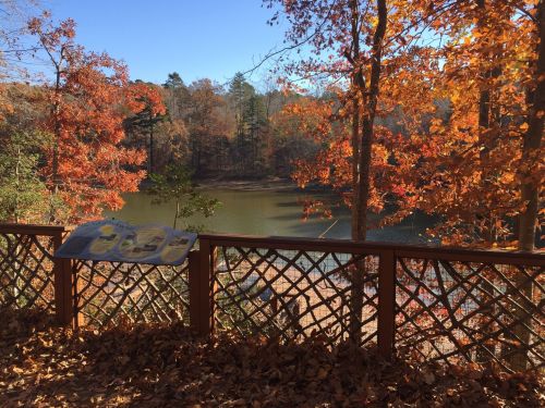 A serene view of a lake surrounded by vibrant autumn foliage and a wooden railing in the foreground.