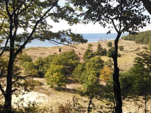 A scenic view of a coastal landscape with trees, sandy areas, and the ocean in the background under a clear sky.