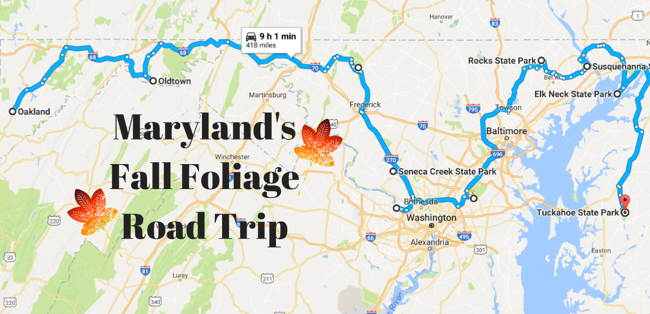 This Dreamy Road Trip Will Take You To The Best Fall Foliage In All Of ...