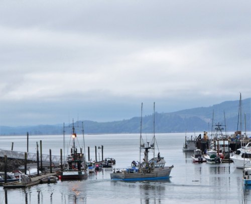 A calm harbor scene with fishing boats and yachts, surrounded by misty mountains under a cloudy sky.