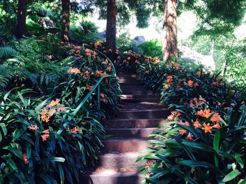 A serene pathway lined with vibrant orange flowers leads up stone steps through lush greenery.