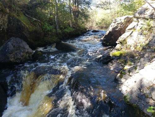 A flowing river with rocky banks, surrounded by lush greenery and trees under a clear blue sky.