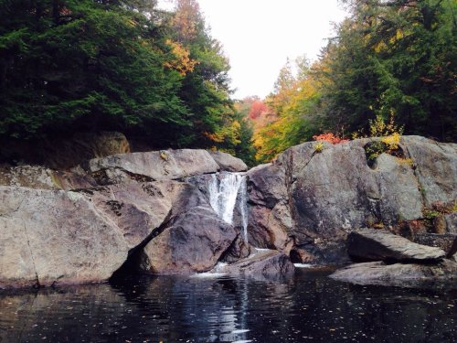 A serene waterfall cascades over rocks into a calm pool, surrounded by autumn foliage and lush green trees.