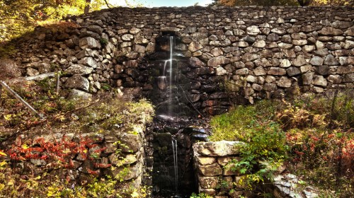 A stone wall with a small waterfall cascading down, surrounded by colorful foliage and greenery.