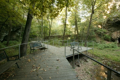 A wooden walkway with benches surrounded by lush green trees in a serene forest setting.