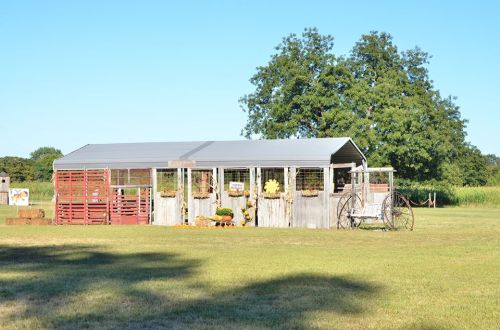 A rustic barn with a metal roof, surrounded by greenery and a vintage wagon, set in a sunny field.