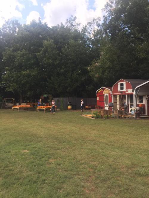 A grassy area with trees, a red barn, and people walking near pumpkin displays and farm structures.