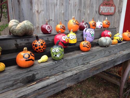 A variety of painted pumpkins in different colors and designs displayed on a wooden bench.