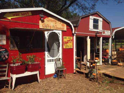 A red barn-style shop with a sign reading "Granny's Gifts & Goodies," surrounded by pumpkins and outdoor seating.
