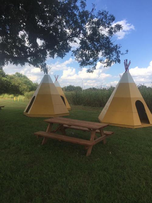 Two yellow teepees stand in a grassy area under a blue sky, with a picnic table in the foreground.
