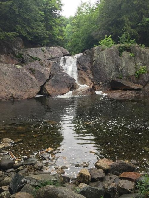 A serene waterfall cascades over rocks into a calm pool, surrounded by lush greenery and natural stone formations.