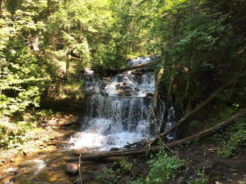 A serene waterfall cascades over rocks, surrounded by lush green trees and foliage in a peaceful forest setting.
