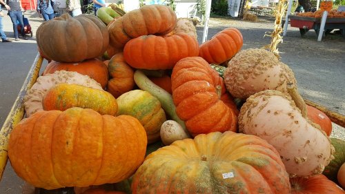 A colorful assortment of pumpkins in various shapes and sizes, stacked in a cart at a pumpkin patch.