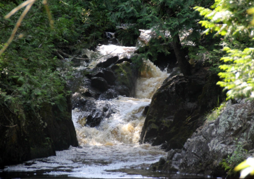 A rushing waterfall flows between rocky banks, surrounded by lush green trees and foliage.