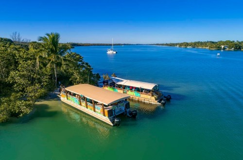 Two colorful boats docked in a calm blue river, surrounded by lush greenery and a clear sky.