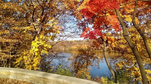A serene view of a lake surrounded by vibrant autumn trees with red and yellow leaves under a clear blue sky.