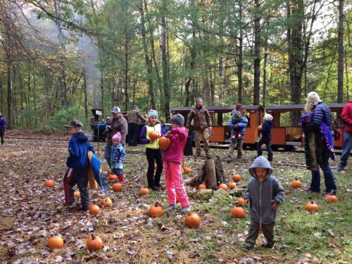 Children and adults gather in a forested area, surrounded by pumpkins, with a small train in the background.
